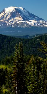 Trees,Mountains,Top,Spruce,Fir,Snow Covered,Nature,Snowbound,Vertex