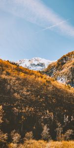 Trees,Mountains,Vegetation,Slopes,Nature,Landscape