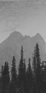 Trees,Mountains,Vertex,Spruce,Fir,Tops,Nature,Darkness