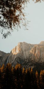 Trees,Mountains,Vertex,Top,Branches,Nature