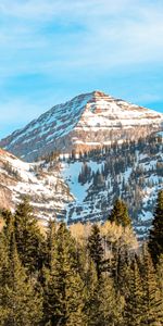 Naturaleza,Árboles,Arriba,Nevado,Cubierto De Nieve,Montañas,Vértice