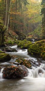 Ríos,Musgo,Naturaleza,Árboles,Flujo,Corriente,Stones