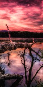 Trees,Nature,Lake,Hdr,Sunset