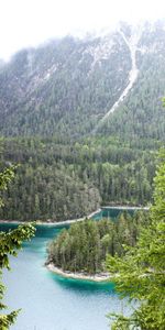 Trees,Nature,Rivers,Forest,Bavaria,Munich,Germany