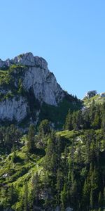 Naturaleza,Árboles,Las Rocas,Rocas,Montaña