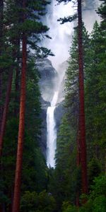 Trees,Nature,Rocks,Waterfall,Forest