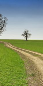 Nature,Route,Domaine,Champ,Pays,Vide,Arbres,Campagne,Été