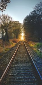 Trees,Nature,Sunset,Railway