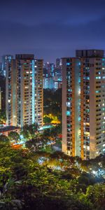 Trees,Night,City,Skyscraper,Building,Cities