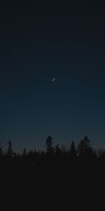 Arbres,Silhouettes,Nuit,Sombre,Lune