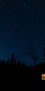 Trees,Night,Shine,Light,Forest,Dark,Lodge,Small House,Silhouettes