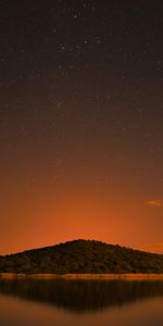 Trees,Night,Starry Sky,Hill,Stars,Words