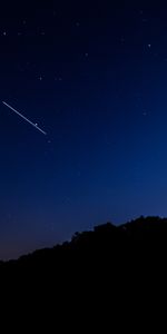 Trees,Night,Starry Sky,Stars,Dark,Fall,Darkness