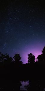 Trees,Night,Starry Sky,Stars,Landscape,Dark