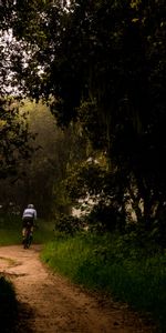 Trees,Path,Dark,Bicycle,Cyclist