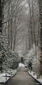 Trees,Path,Snowfall,Winter,Nature,Church