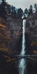 Trees,Precipice,Bridge,Nature,Water,Waterfall,Break