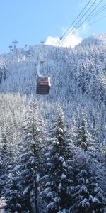 Invierno,Árboles,Coche,Vagón De Ferrocarril,Teleférico,Naturaleza