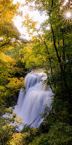 Trees,Rays,Branches,Nature,Sun,Waterfall,Beams