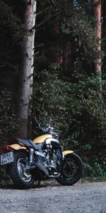 Trees,Rear View,Back View,Motorcycle,Motorcycles,Yamaha,Bike