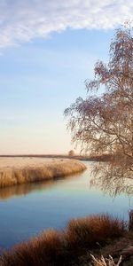 Rivières,Arbres,Paysage