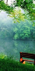 Trees,Rivers,Landscape