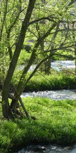 Nature,Arbres,Rivières