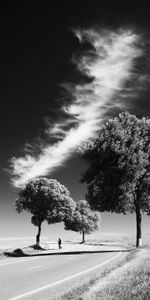 Trees,Road,Bw,Human,Person,Loneliness,Nature,Chb