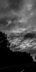 Trees,Road,Bw,Nature,Turn,Darkly,Chb,Dark