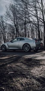 Nissan Gt R,Деревья,Тачки (Cars),Дорога,Серый,Автомобиль,Ниссан (Nissan)