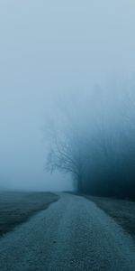 Trees,Road,Fog,Nature