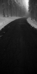 Trees,Road,Fog,Nature,Turn,Snow