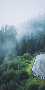 Camino,Niebla,Cuesta,Pendiente,Naturaleza,Árboles