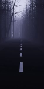 Trees,Road,Haze,Fog,Forest,Dark