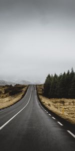 Arbres,Route,Montée,Lever,Balisage,Nature