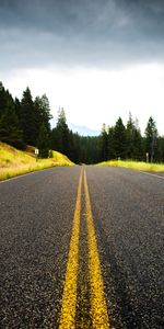 Route,Épicéa,Sapin,Dahl,Distance,Nature,Arbres,Balisage