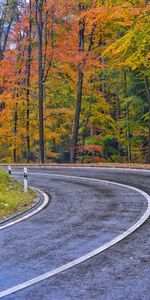 Trees,Road,Markup,Nature,Autumn