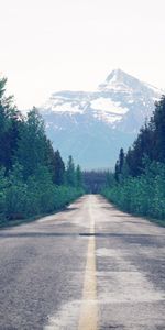 Trees,Road,Markup,Nature,Forest