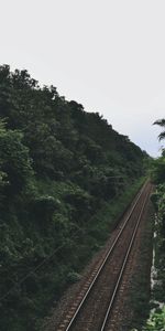 Trees,Road,Nature,Railway