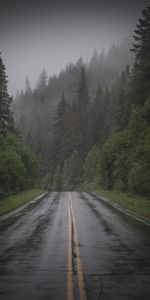 Trees,Road,Spruce,Fir,Dahl,Nature,Fog,Distance