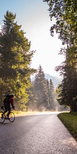 Árboles,Camino,Turista,Bicicleta,Ciclista,Deportes