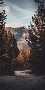 Trees,Road,Turn,Nature,Autumn