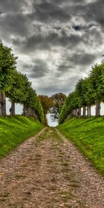 Trees,Roads,Clouds,Landscape