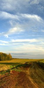 Trees,Roads,Clouds,Landscape,Fields