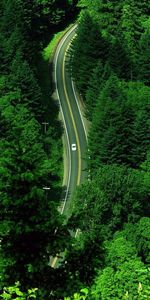 Trees,Roads,Landscape