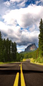 Trees,Roads,Landscape