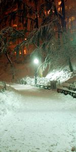 Trees,Roads,Snow,Night,Landscape