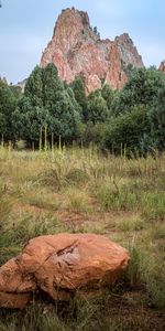 Naturaleza,Árboles,Montaña,Piedra,Una Roca,Paisaje