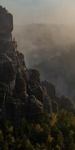 Trees,Rock,Vertex,Top,Fog,Nature,Landscape