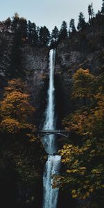 Précipice,Arbres,Se Rompre,Rocheux,Nature,Rocher,Pont,Cascade